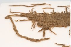 Foto von Textil (NHMW-PRAE-125690)